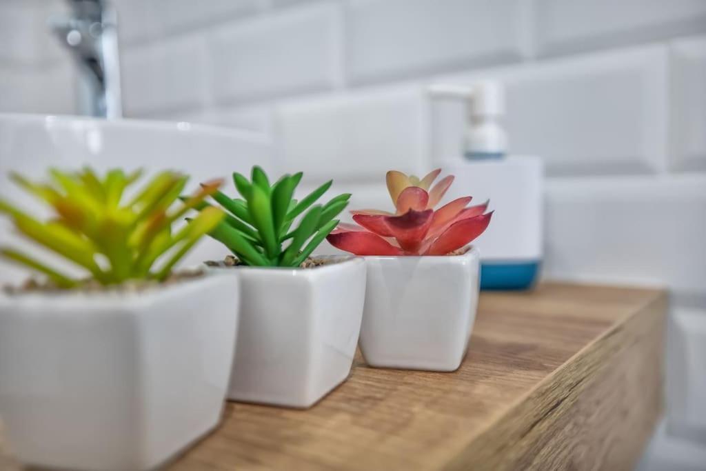 Apartamento Al Alba コルドバ エクステリア 写真